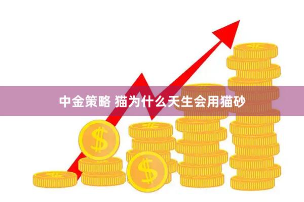 中金策略 猫为什么天生会用猫砂