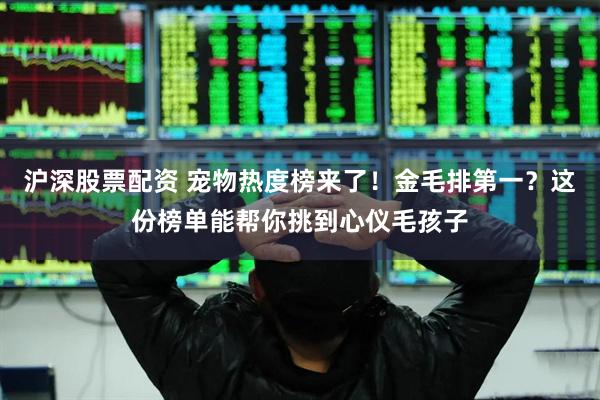 沪深股票配资 宠物热度榜来了！金毛排第一？这份榜单能帮你挑到心仪毛孩子