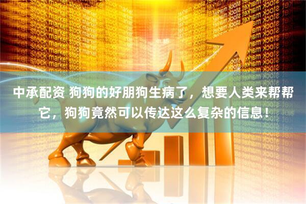 中承配资 狗狗的好朋狗生病了，想要人类来帮帮它，狗狗竟然可以传达这么复杂的信息！