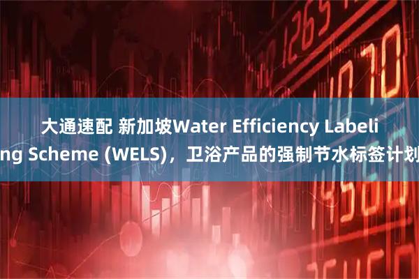 大通速配 新加坡Water Efficiency Labeling Scheme (WELS)，卫浴产品的强制节水标签计划