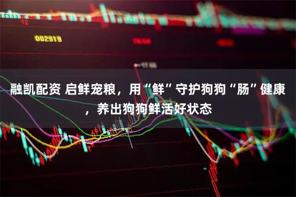 融凯配资 启鲜宠粮，用“鲜”守护狗狗“肠”健康，养出狗狗鲜活好状态