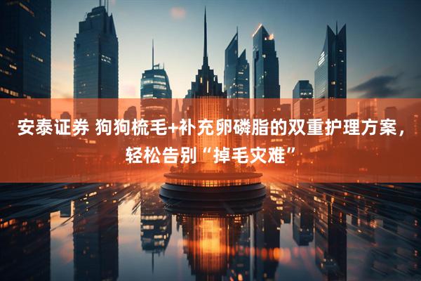 安泰证券 狗狗梳毛+补充卵磷脂的双重护理方案，轻松告别“掉毛灾难”