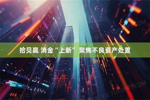 拾贝赢 消金“上新” 聚焦不良资产处置