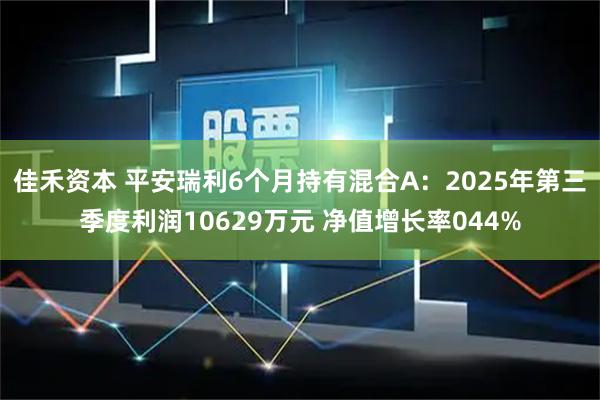 佳禾资本 平安瑞利6个月持有混合A：2025年第三季度利润10629万元 净值增长率044%