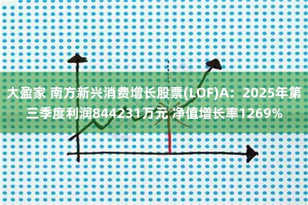 大盈家 南方新兴消费增长股票(LOF)A：2025年第三季度利润844231万元 净值增长率1269%