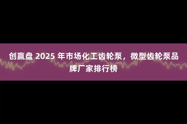 创赢盘 2025 年市场化工齿轮泵，微型齿轮泵品牌厂家排行榜